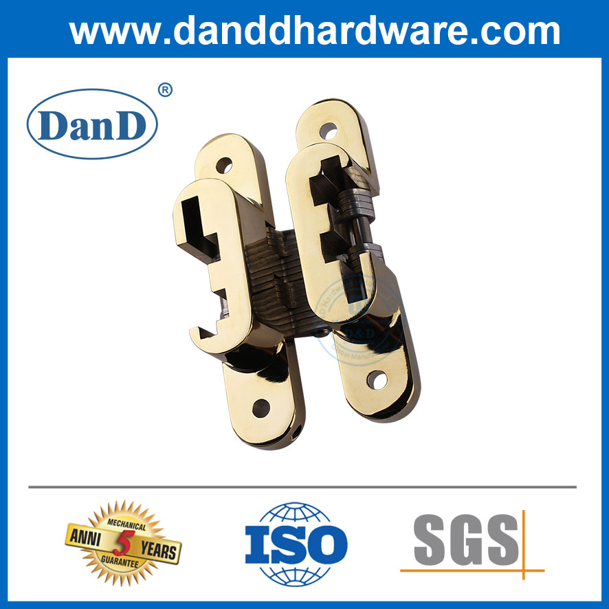 Puerta de oro de latón de latón pulido que se ajusta al aire libre bisagras ocultas ddch007