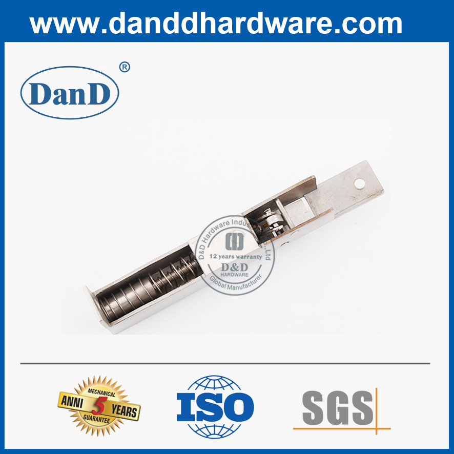 Tipo automático oculto SS304 Puerta exterior de lateral perno-DDDB023